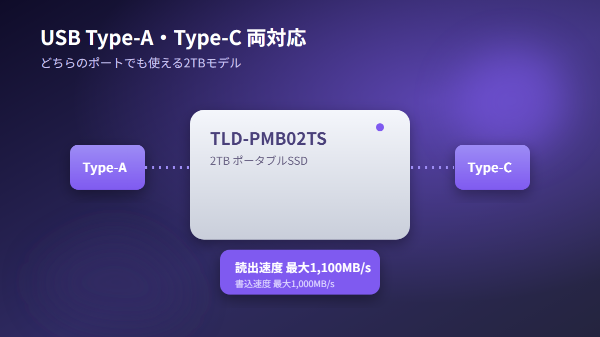 USB Type-AとType-Cの両対応と読出速度最大1,100MB/sを示す図解