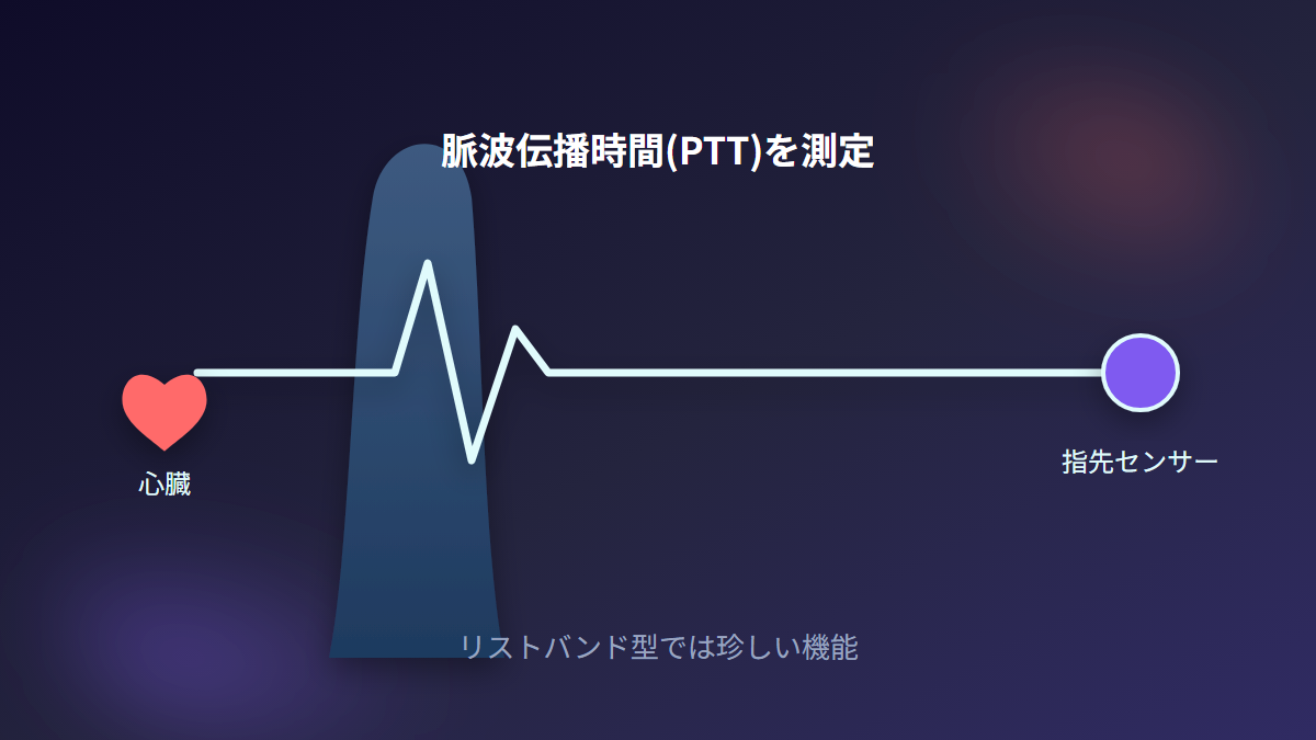 脈波伝播時間(PTT)測定の仕組みを示すイメージ